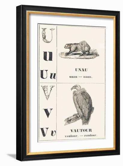 U V: Unau — Vulture, 1850 (Engraving)-Louis Simon (1810-1870) Lassalle-Framed Giclee Print
