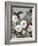 UA Bohemian Blooms II-Grace Popp-Framed Art Print