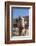 UAE, Al Ain. Jabel Hafeet, Al Ain Camel Market-Walter Bibikow-Framed Photographic Print