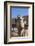 UAE, Al Ain. Jabel Hafeet, Al Ain Camel Market-Walter Bibikow-Framed Photographic Print