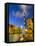 Uae, Dubai, Burj Khalifa-Alan Copson-Framed Premier Image Canvas