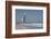 Uae, Dubai. Jumeirah District, Burj Al Arab Hotel-Cindy Miller Hopkins-Framed Photographic Print