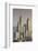 UAE, Dubai, Jumeirah. Skyscrapers seen from Jumeirah-Walter Bibikow-Framed Photographic Print