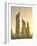 Uae, Dubai, Sheikh Zayed Road, Emirates Towers-Alan Copson-Framed Photographic Print
