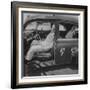 Ucla Auto Crash Test Dummy Experiments-J. R. Eyerman-Framed Photographic Print
