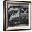 Ucla Auto Crash Test Dummy Experiments-J^ R^ Eyerman-Framed Photographic Print