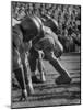 UCLA Football Line Shown in UCLA vs. Stanford Game-George Silk-Mounted Photographic Print