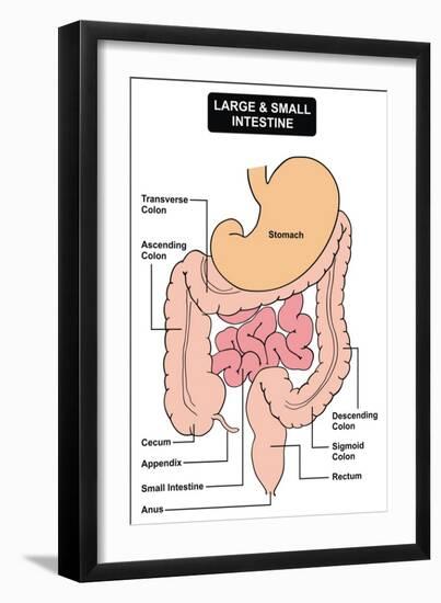 Art Print, , large