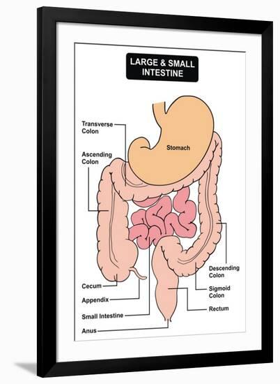Art Print, , large