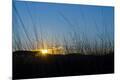 Premium Photographic Print