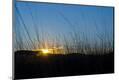Premium Photographic Print