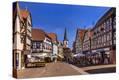 Stretched Canvas Print