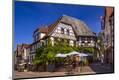 Premium Photographic Print