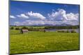 Photographic Print