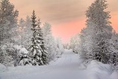 Winter Landscape in Lapland-udvarhazi-Premier Image Canvas
