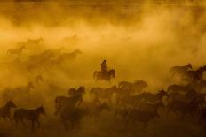 horses-Ümmü Nisan-Photographic Print