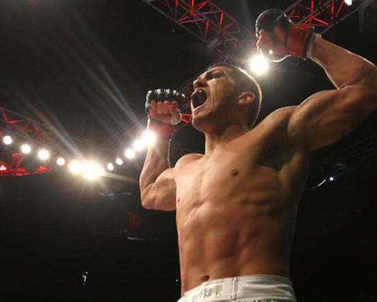 Ufc 144 Feb 26 2012 Anthony Pettis Vs Joe Lauzo Photo Al Bello Art Com