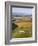 Uffington White Horse, Oxfordshire, UK-David Parker-Framed Photographic Print