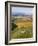 Uffington White Horse, Oxfordshire, UK-David Parker-Framed Photographic Print