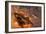 Ufo's from Different Alien Races Fighting Each Other in the Earth's Atmosphere-null-Framed Premium Giclee Print