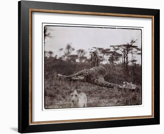 Ugigi, Belgian Congo, c.1910-null-Framed Giclee Print