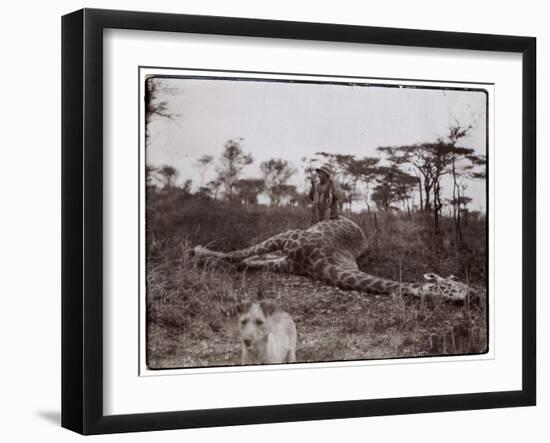 Ugigi, Belgian Congo, c.1910-null-Framed Giclee Print