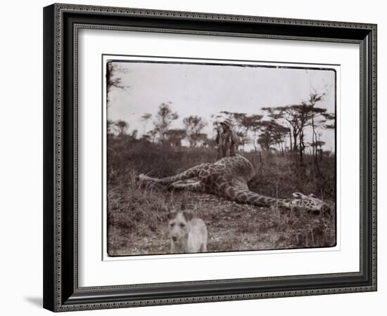 Ugigi, Belgian Congo, c.1910-null-Framed Giclee Print