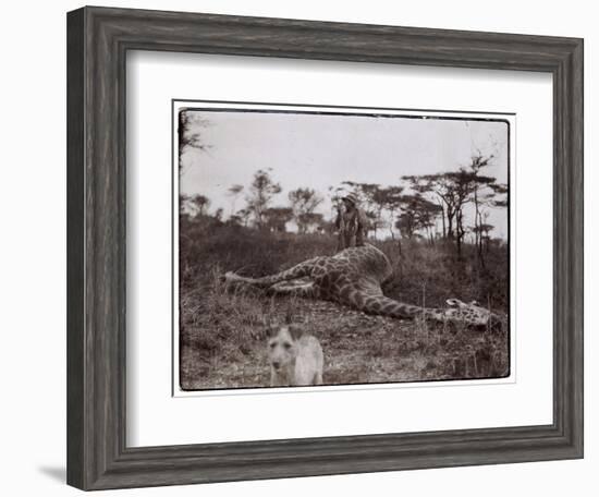 Ugigi, Belgian Congo, c.1910-null-Framed Giclee Print