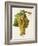 Ugni Blanc Grape-J. Troncy-Framed Giclee Print