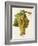 Ugni Blanc Grape-J. Troncy-Framed Giclee Print