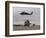 UH-60 Black Hawks Taxis Out for a Mission over Northern Iraq-null-Framed Photographic Print