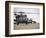 UH-60 Black Hawks Taxis Out for a Mission over Northern Iraq-null-Framed Photographic Print