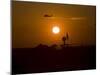 UH-60 Blackhawk Flies over Camp Speicher Airfield at Sunset-Stocktrek Images-Mounted Photographic Print
