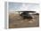 UH-60 Blackhawk Medivac Helicopter Sits on the Flight Deck at Camp Warhorse-Stocktrek Images-Framed Premier Image Canvas