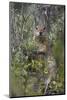Uinta Ground Squirrel (Urocitellus Armatus), Yellowstone National Park, Wyoming, U.S.A.-James Hager-Mounted Photographic Print