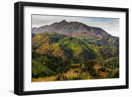 Uinta NF, Mt Nebo Loop Scenic Byway, Utah: Byway Corsses Uinta NF Between Nephi And Payson, Utah-Ian Shive-Framed Photographic Print