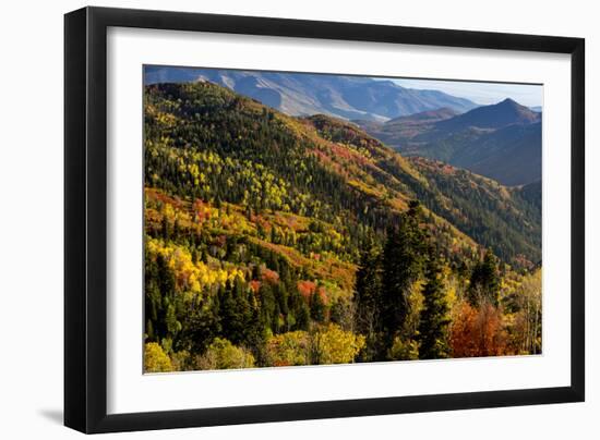 Uinta NF, Mt Nebo Loop Scenic Byway, Utah: Byway Crosses The Uinta NF Between Nephi And Payson, UT-Ian Shive-Framed Photographic Print