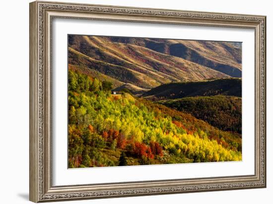 Uinta NF, Mt Nebo Loop Scenic Byway, Utah: Byway Crosses The Uinta NF Btwn Nephi And Payson, Utah-Ian Shive-Framed Photographic Print