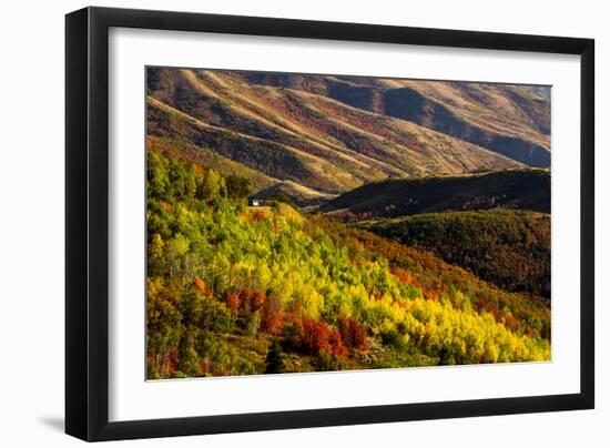 Uinta NF, Mt Nebo Loop Scenic Byway, Utah: Byway Crosses The Uinta NF Btwn Nephi And Payson, Utah-Ian Shive-Framed Photographic Print