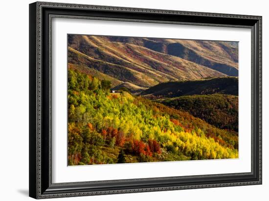 Uinta NF, Mt Nebo Loop Scenic Byway, Utah: Byway Crosses The Uinta NF Btwn Nephi And Payson, Utah-Ian Shive-Framed Photographic Print