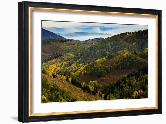 Uinta NF, Mt Nebo Loop Scenic Byway, Utah: This Byway Corsses The Uinta NF Between Nephi And Payson-Ian Shive-Framed Photographic Print
