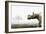 Uintatherium-Christian Darkin-Framed Photographic Print