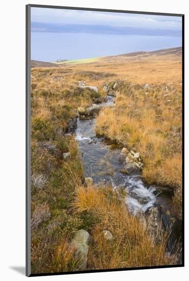 Uisge Soluis Mhoir, burn on the walk up to Coire-Fhionn Lochan, Isle of Arran, North Ayrshire, Scot-Gary Cook-Mounted Photographic Print