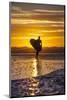 Uk, Cornwall, Polzeath. a Woman Comes in from an Evening Surf Against a Stunning Sunset.-Niels Van Gijn-Mounted Photographic Print