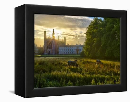 UK, England, Cambridge, the Backs and King's College Chapel-Alan Copson-Framed Premier Image Canvas