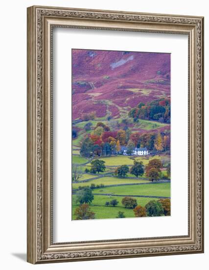 UK, England, Cumbria, Lake District, Borrowdale on south bank of Derwentwater-Alan Copson-Framed Photographic Print