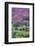 UK, England, Cumbria, Lake District, Borrowdale on south bank of Derwentwater-Alan Copson-Framed Photographic Print