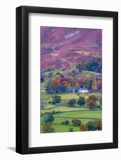 UK, England, Cumbria, Lake District, Borrowdale on south bank of Derwentwater-Alan Copson-Framed Photographic Print