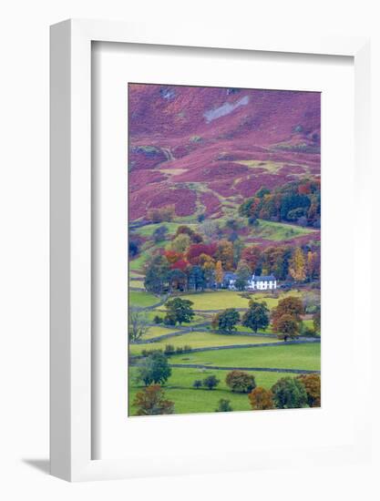 UK, England, Cumbria, Lake District, Borrowdale on south bank of Derwentwater-Alan Copson-Framed Photographic Print