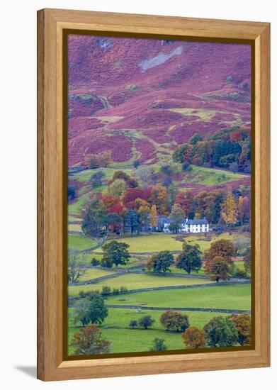 UK, England, Cumbria, Lake District, Borrowdale on south bank of Derwentwater-Alan Copson-Framed Premier Image Canvas